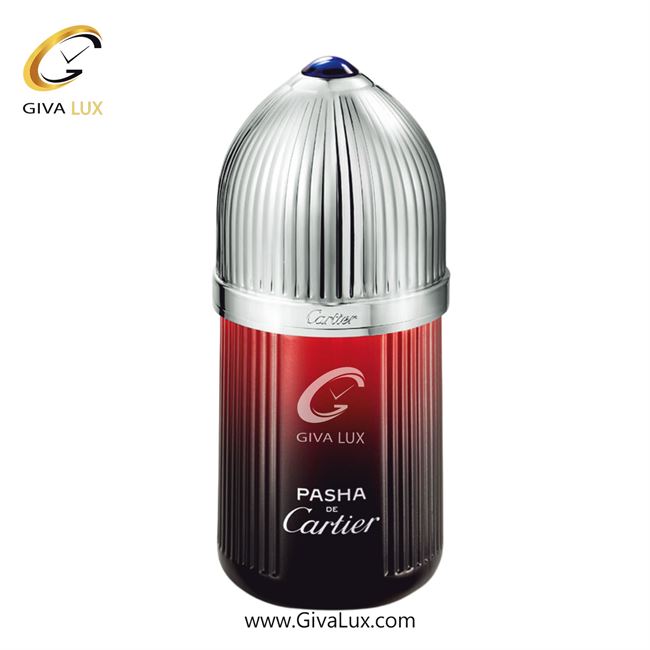   Cartier Pasha de Cartier Edition Noire Sport-1.jpg